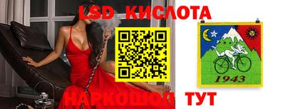 молекула духа Кингисепп