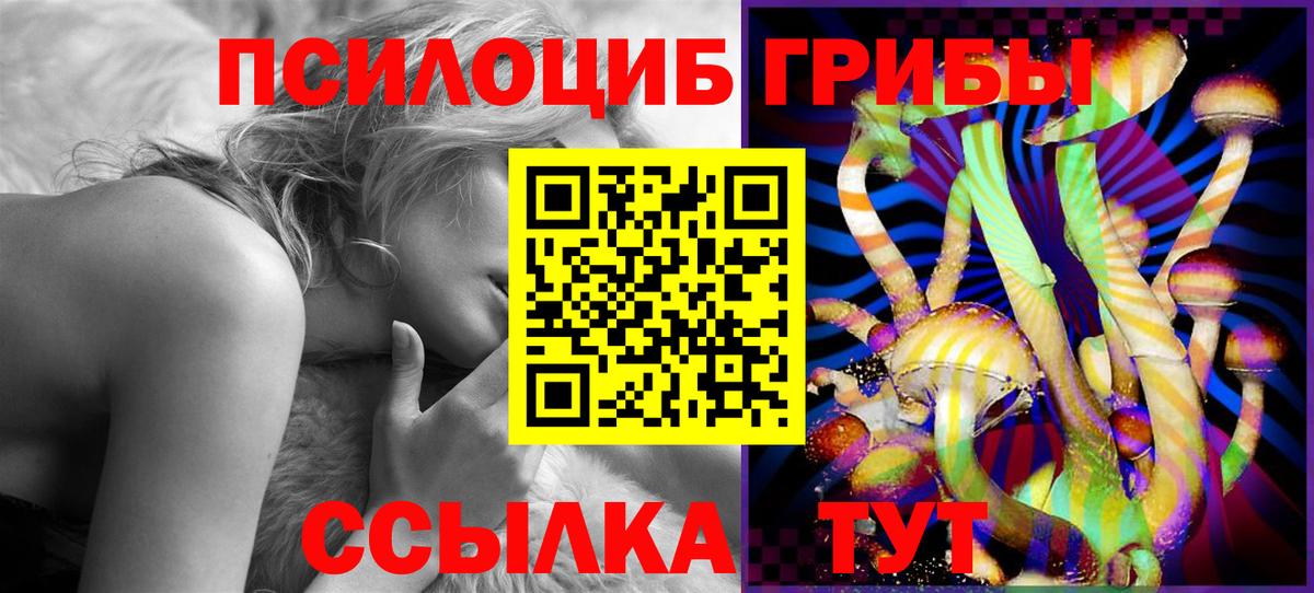 Кыштым  Псилоцибиновые грибы Psilocybine cubensis  Вход с VPN  Галлюциногенные грибы мухоморы 